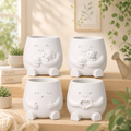 Core Collection Bundle